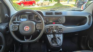 FIAT Panda usata, con Volante in pelle