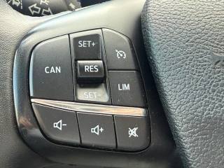 FORD Transit usata, con Filtro antiparticolato