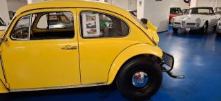 VOLKSWAGEN Buggy usata 40