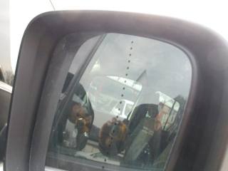 RENAULT Kangoo usata, con ESP