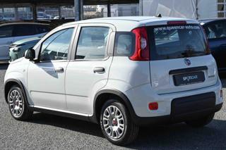 FIAT Panda usata, con Chiusura centralizzata
