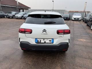 CITROEN C4 Cactus usata, con Alzacristalli elettrici