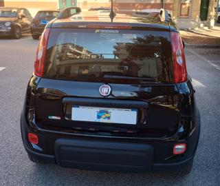 FIAT Panda usata, con Cruise Control