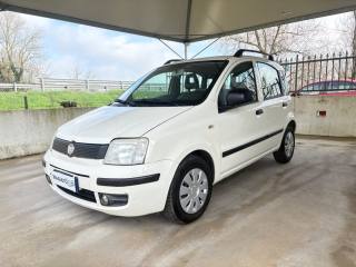 FIAT Panda 1.2 MyLife OK NEOPATENTI EURO 5 FARI FENDINEBBIA