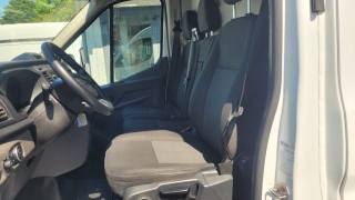 FORD Transit usata, con Fendinebbia
