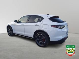 ALFA ROMEO Stelvio usata, con Airbag Passeggero