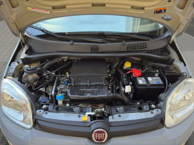 FIAT Panda usata 24