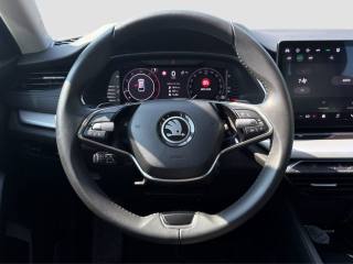 SKODA Octavia usata 12