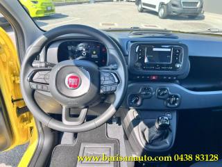 FIAT Panda usata, con Cruise Control