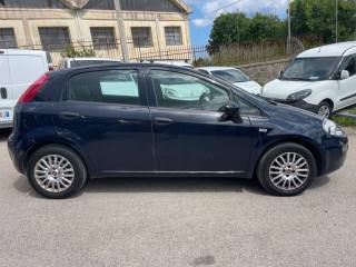 FIAT Punto usata 5