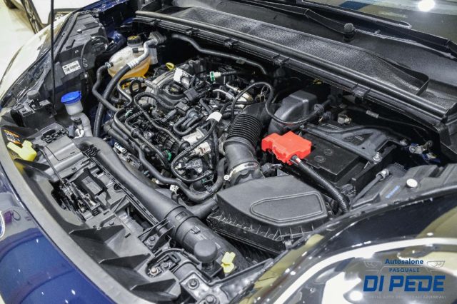 FORD Puma usata, con Fendinebbia