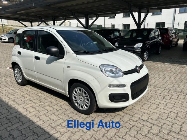 FIAT Panda usata, con Alzacristalli elettrici