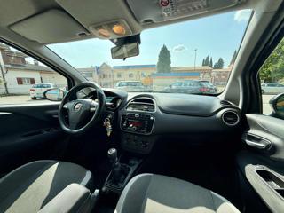 FIAT Punto usata 17