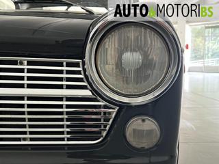 FIAT 1100 usata 14