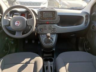 FIAT Panda usata, con Immobilizzatore elettronico