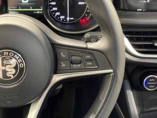 ALFA ROMEO Stelvio usata, con Airbag testa