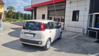 FIAT Panda usata, con ESP