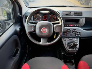 FIAT Panda usata 14