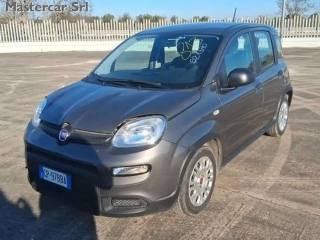 FIAT Panda usata, con Airbag