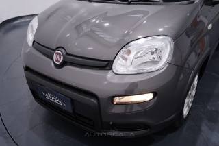 FIAT New Panda usata, con Bluetooth