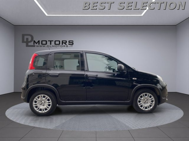 FIAT Panda usata, con Servosterzo