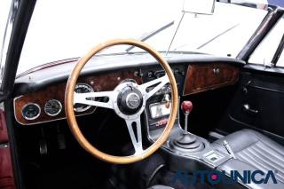 AUSTIN Healey usata 4