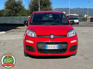 FIAT Panda usata, con Airbag