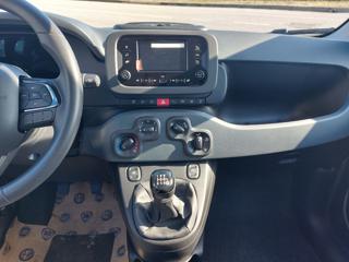 FIAT Panda usata, con Immobilizzatore elettronico