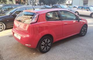 FIAT Punto usata, con Climatizzatore