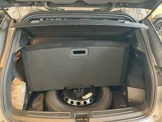 RENAULT Austral usata 22