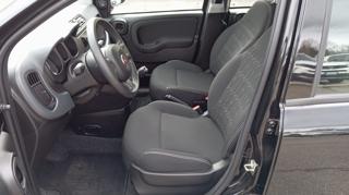 FIAT Panda usata, con Climatizzatore