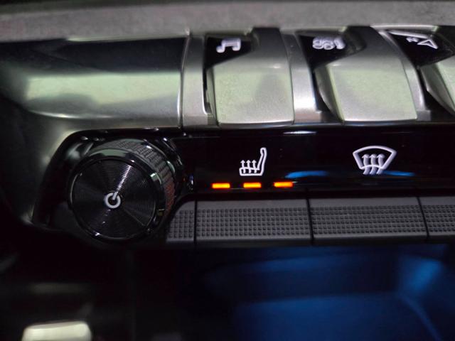 PEUGEOT 3008 usata, con Autoradio