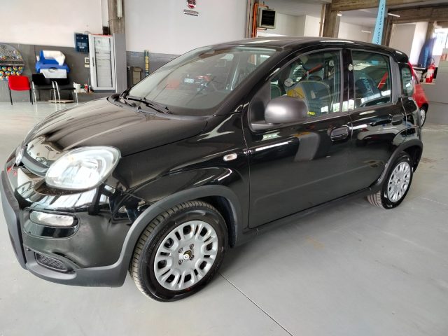 FIAT Panda usata 12
