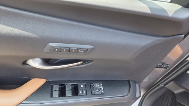 LEXUS UX 250h usata, con Interni in pelle