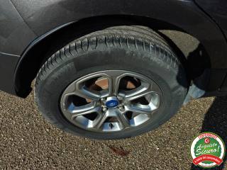 FORD EcoSport usata, con Park Distance Control