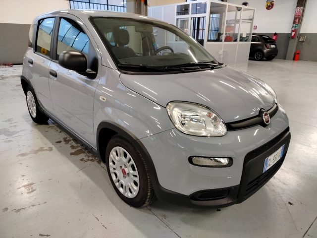 FIAT Panda usata, con Airbag Passeggero