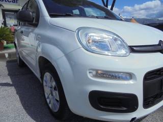 FIAT Panda usata 15