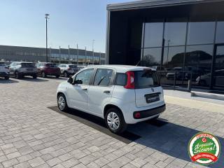 FIAT Panda usata, con Cronologia tagliandi