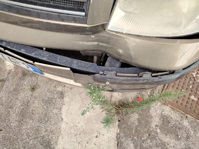 FIAT Panda usata 10