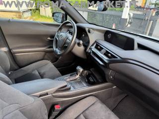 LEXUS UX Full Electric usata, con Servosterzo