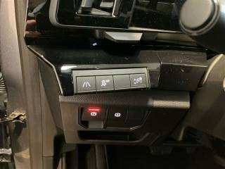 RENAULT Austral usata 19