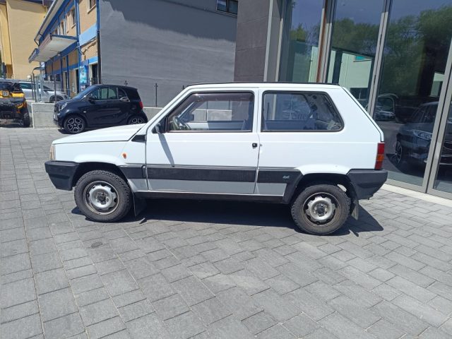 FIAT Panda usata 4