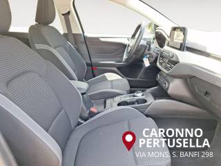 FORD Focus usata, con Fendinebbia