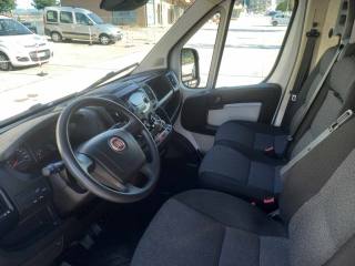 FIAT Ducato usata, con Fendinebbia