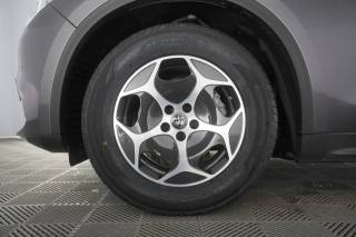 ALFA ROMEO Stelvio usata 14