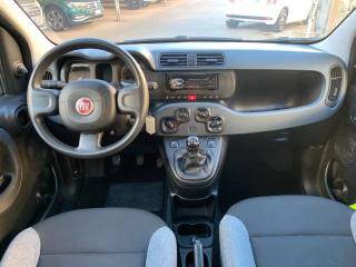 FIAT Panda usata, con Airbag testa
