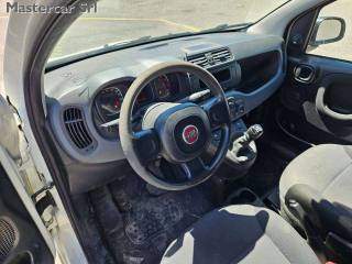 FIAT Panda usata 12