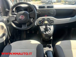 FIAT Panda usata, con Immobilizzatore elettronico