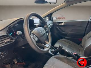 FORD Fiesta usata 12
