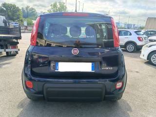 FIAT Panda usata 7